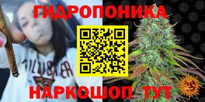 PSILOCYBIN Заводоуковск