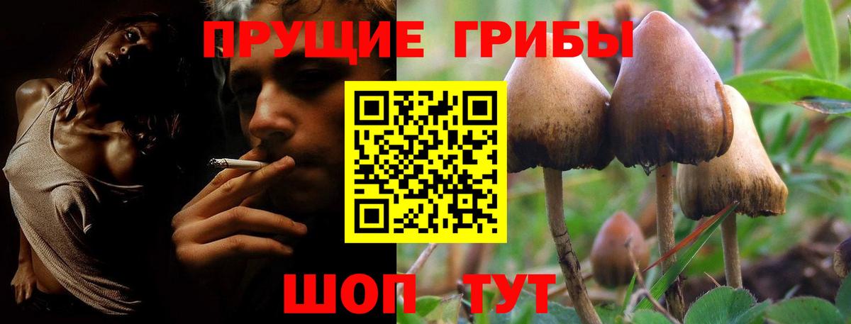 Псилоцибиновые грибы мухоморы Узловая
