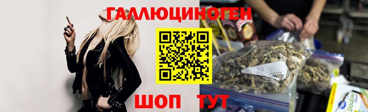 Узловая  Галлюциногенные грибы Psilocybe  Вход с VPN 